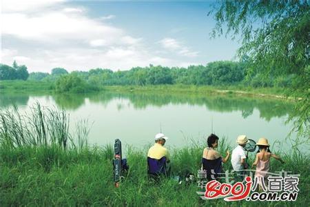 城東天氣預報30天查詢,城東區一個月天氣