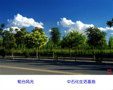輪臺天氣預報30天查詢,輪臺縣一個月天氣