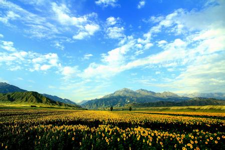 沙灣天氣預報30天查詢,沙灣縣一個月天氣