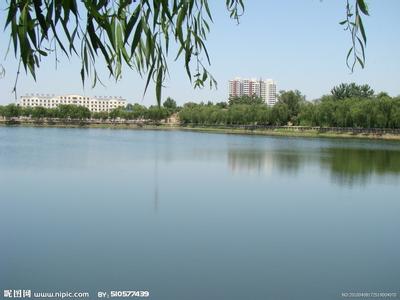 保定雄縣天氣預(yù)報(bào)_雄縣天氣預(yù)報(bào)一周7天10天15天保定雄縣天氣預(yù)報(bào),雄縣天氣預(yù)報(bào)一周7天10天15天
