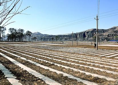 呂梁臨縣天氣預(yù)報_臨縣天氣預(yù)報一周7天10天15天呂梁臨縣天氣預(yù)報,臨縣天氣預(yù)報一周7天10天15天
