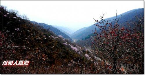 呂梁汾陽天氣預(yù)報_汾陽天氣預(yù)報一周7天10天15天呂梁汾陽天氣預(yù)報,汾陽天氣預(yù)報一周7天10天15天