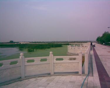 齊齊哈爾泰來天氣預(yù)報_泰來天氣預(yù)報一周7天10天15天齊齊哈爾泰來天氣預(yù)報,泰來天氣預(yù)報一周7天10天15天