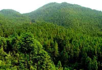 黑龍江雙鴨山天氣預(yù)報_雙鴨山天氣預(yù)報一周7天10天15天黑龍江雙鴨山天氣預(yù)報,雙鴨山天氣預(yù)報一周7天10天15天