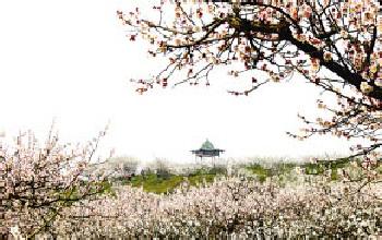 南京溧水天氣預(yù)報_溧水天氣預(yù)報一周7天10天15天南京溧水天氣預(yù)報,溧水天氣預(yù)報一周7天10天15天