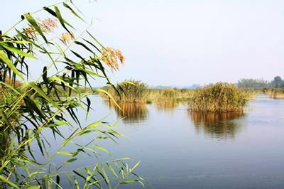 宿州泗縣天氣預(yù)報(bào)_泗縣天氣預(yù)報(bào)一周7天10天15天宿州泗縣天氣預(yù)報(bào),泗縣天氣預(yù)報(bào)一周7天10天15天