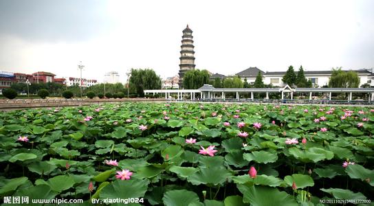 棗莊滕州天氣預(yù)報_滕州天氣預(yù)報一周7天10天15天棗莊滕州天氣預(yù)報,滕州天氣預(yù)報一周7天10天15天
