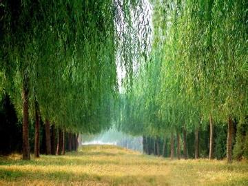德州夏津天氣預(yù)報(bào)_夏津天氣預(yù)報(bào)一周7天10天15天德州夏津天氣預(yù)報(bào),夏津天氣預(yù)報(bào)一周7天10天15天