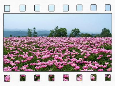 德陽中江天氣預(yù)報_中江天氣預(yù)報一周7天10天15天德陽中江天氣預(yù)報,中江天氣預(yù)報一周7天10天15天