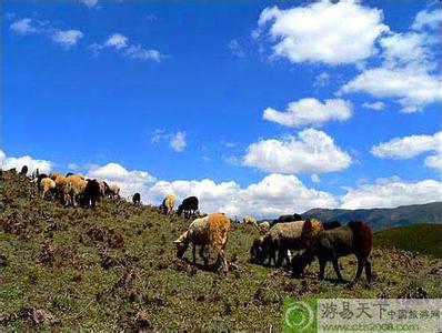 涼山布拖天氣預(yù)報(bào)_布拖天氣預(yù)報(bào)一周7天10天15天涼山布拖天氣預(yù)報(bào),布拖天氣預(yù)報(bào)一周7天10天15天