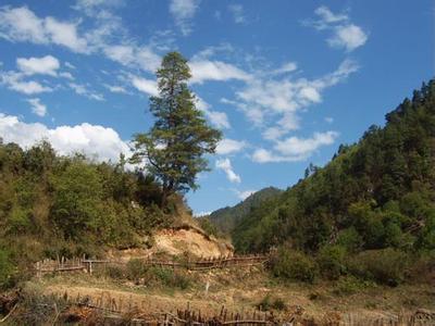 怒江蘭坪天氣預(yù)報_蘭坪天氣預(yù)報一周7天10天15天怒江蘭坪天氣預(yù)報,蘭坪天氣預(yù)報一周7天10天15天