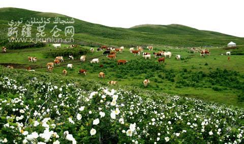 塔城地區(qū)額敏天氣預(yù)報_額敏天氣預(yù)報一周7天10天15天塔城地區(qū)額敏天氣預(yù)報,額敏天氣預(yù)報一周7天10天15天