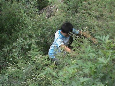 順平pm2.5實時查詢,順平縣空氣質量指數(shù)查詢