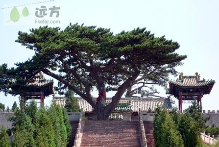 中陽pm2.5實時查詢,中陽縣空氣質(zhì)量指數(shù)查詢