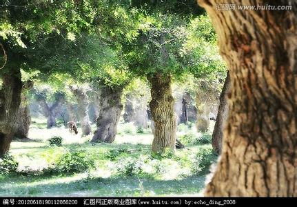 榆樹pm2.5實(shí)時(shí)查詢,榆樹市空氣質(zhì)量指數(shù)查詢