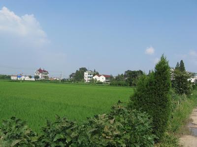 南潯pm2.5實(shí)時(shí)查詢,南潯區(qū)空氣質(zhì)量指數(shù)查詢