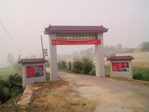 謝家集pm2.5實(shí)時(shí)查詢,謝家集區(qū)空氣質(zhì)量指數(shù)查詢