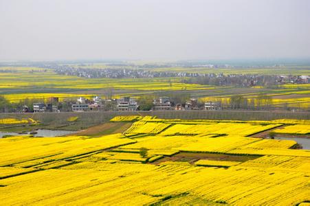 宿松pm2.5實時查詢,宿松縣空氣質(zhì)量指數(shù)查詢