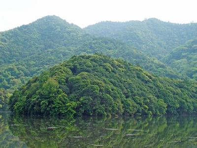 信豐pm2.5實(shí)時(shí)查詢,信豐縣空氣質(zhì)量指數(shù)查詢