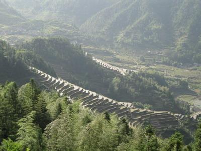 遂川pm2.5實(shí)時查詢,遂川縣空氣質(zhì)量指數(shù)查詢