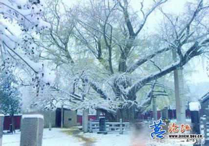 莒縣pm2.5實(shí)時(shí)查詢,莒縣空氣質(zhì)量指數(shù)查詢