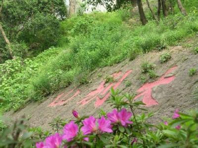 漢陽(yáng)pm2.5實(shí)時(shí)查詢,漢陽(yáng)區(qū)空氣質(zhì)量指數(shù)查詢