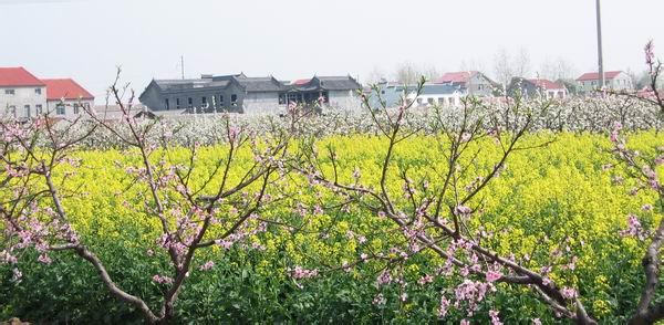 荊州區pm2.5實時查詢,荊州區空氣質量指數查詢