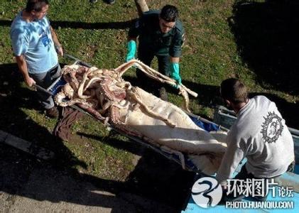 永福pm2.5實(shí)時(shí)查詢,永?？h空氣質(zhì)量指數(shù)查詢