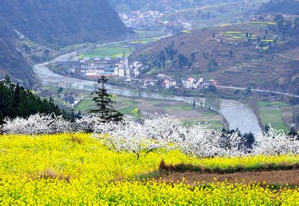 南川pm2.5實(shí)時(shí)查詢,南川區(qū)空氣質(zhì)量指數(shù)查詢