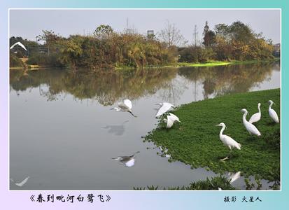 新都pm2.5實時查詢,新都區(qū)空氣質(zhì)量指數(shù)查詢