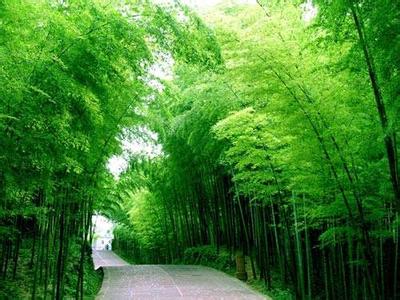長(zhǎng)寧pm2.5實(shí)時(shí)查詢,長(zhǎng)寧縣空氣質(zhì)量指數(shù)查詢