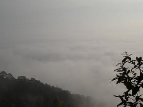 雙江pm2.5實時查詢,雙江縣空氣質(zhì)量指數(shù)查詢