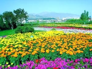 金昌pm2.5實時查詢,金昌市空氣質(zhì)量指數(shù)查詢