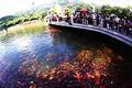 安定天氣預(yù)報(bào)15天查詢