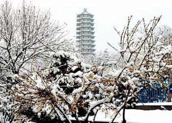 蒼山天氣預(yù)報(bào)15天查詢
