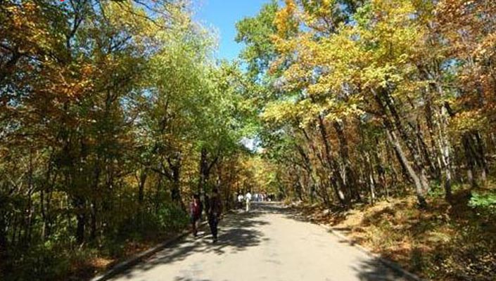 昌邑天氣預報15天查詢