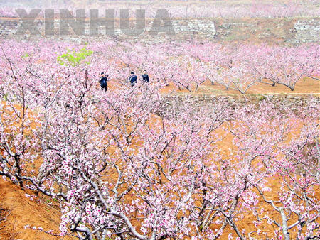 肥城天氣預(yù)報15天查詢