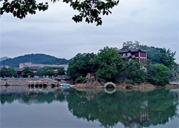 奉化天氣預報15天查詢