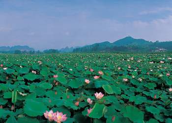 廣昌天氣預報15天查詢
