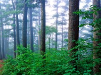 興安天氣預報15天查詢