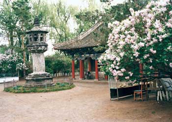 黑水天氣預報15天查詢