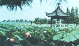 洪山天氣預報15天查詢