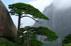 黃山區(qū)天氣預(yù)報(bào)15天查詢