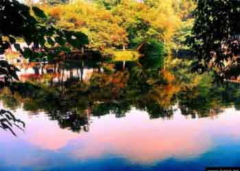 花溪天氣預報15天查詢