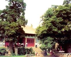 山陽天氣預(yù)報15天查詢