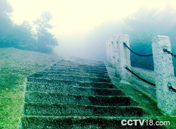 萊山天氣預(yù)報15天查詢