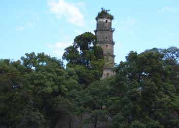 藍(lán)山天氣預(yù)報(bào)15天查詢