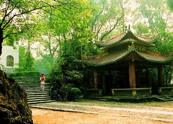 連州天氣預報15天查詢