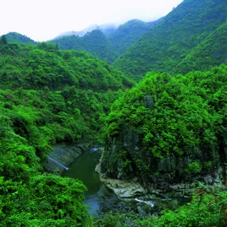 龍灣天氣預(yù)報(bào)15天查詢
