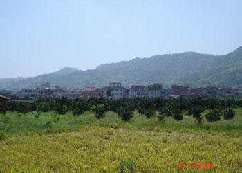 美姑天氣預(yù)報15天查詢